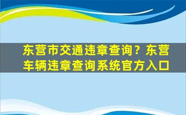 东营市交通违章查询？东营车辆违章查询系统官方入口