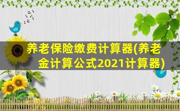 养老保险缴费计算器(养老金计算公式2021计算器)