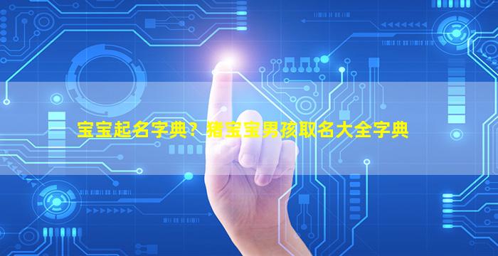 宝宝起名字典？猪宝宝男孩取名大全字典