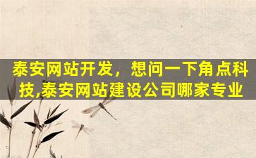 泰安网站开发，想问一下角点科技,泰安网站建设*哪家专业