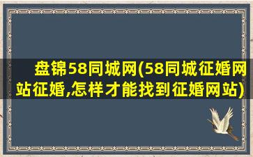 盘锦58同城网(58同城征婚网站征婚,怎样才能找到征婚网站)