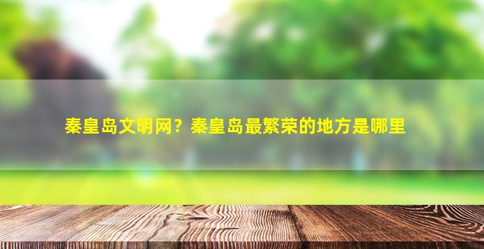 秦皇岛文明网？秦皇岛最繁荣的地方是哪里