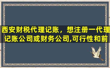 西安财税代理记账，想注册一代理记账*或财务*,可行性和前景如何