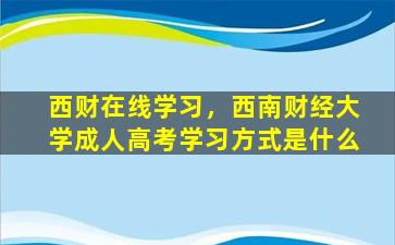 西财在线学习，西南财经大学*高考学习方式是什么