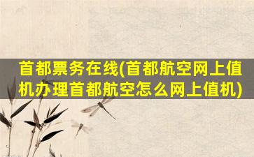 首都票务在线(首都航空网上值机办理首都航空怎么网上值机)